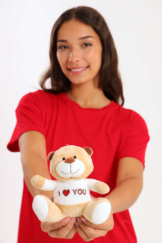 Valentine's Day Plush Teddy Bear