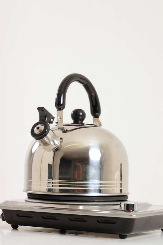 Stainless Steel Whistling Kettle - 2L
