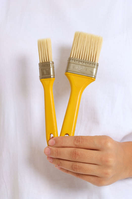 Senza® Set Of 2 Pastry Coating Brush