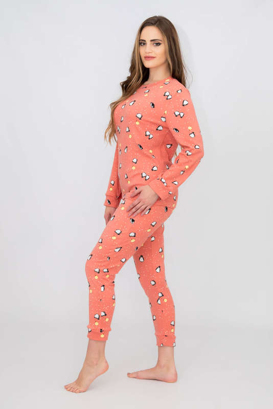 Ladies Printed Cozy Long Sleeve Pyjama Set
