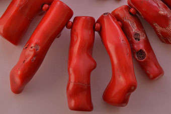 Red Coral Necklace |  |
