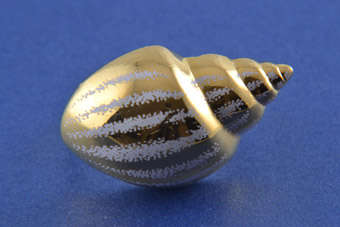 Gilt Vintage Scarf Ring |  |