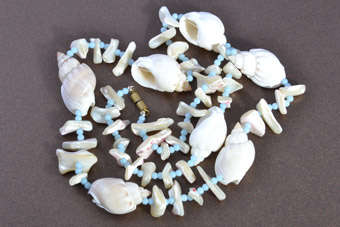 Shell Necklace |  |