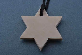 Plastic Pendant |  |