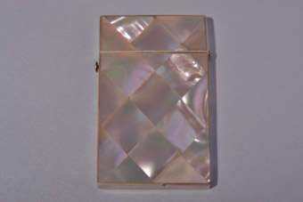 Visiting Card Case