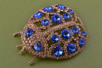Gilt Vintage Bug Brooch |  |