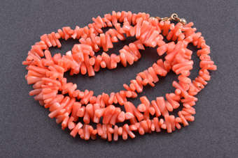Coral Necklace |  |