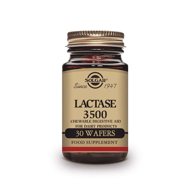 Solgar Lactase 3500 Chewable