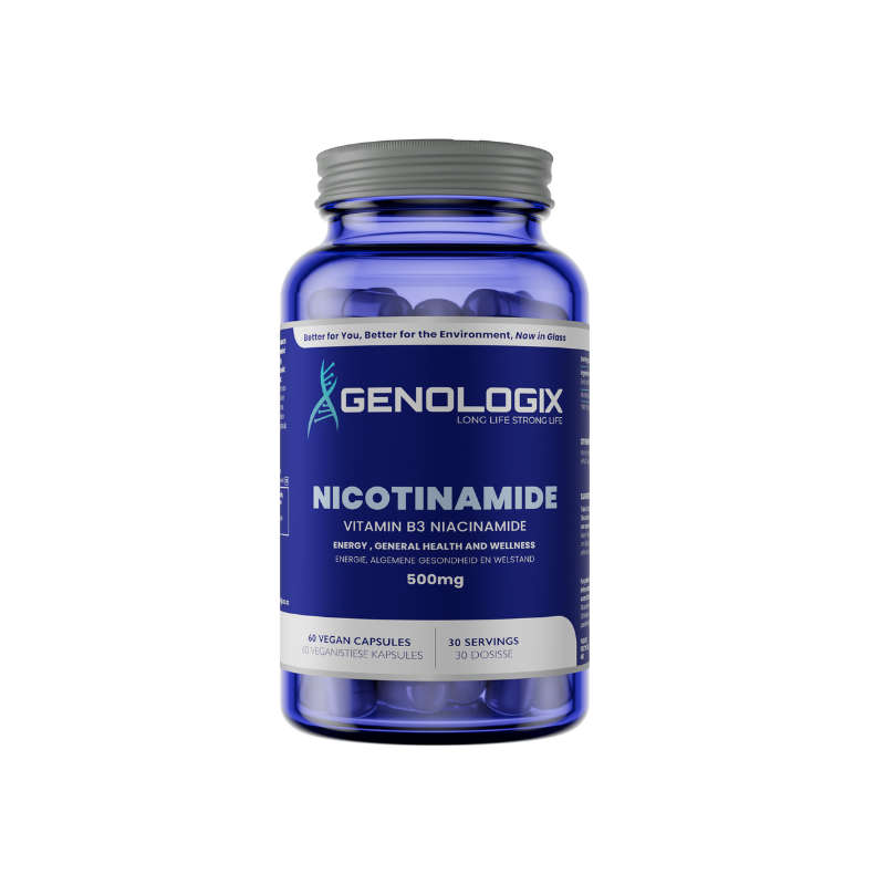Genologix Nicotinamide (Vitamin B3 Niacinamide) 500mg 60