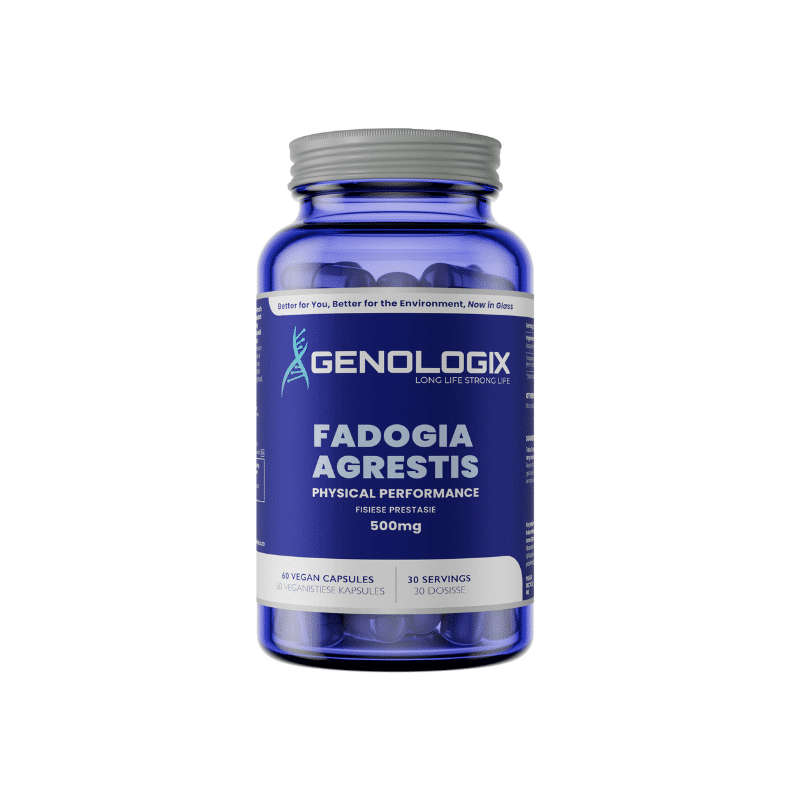 Genologix Fadogia Agrestis 500mg 60