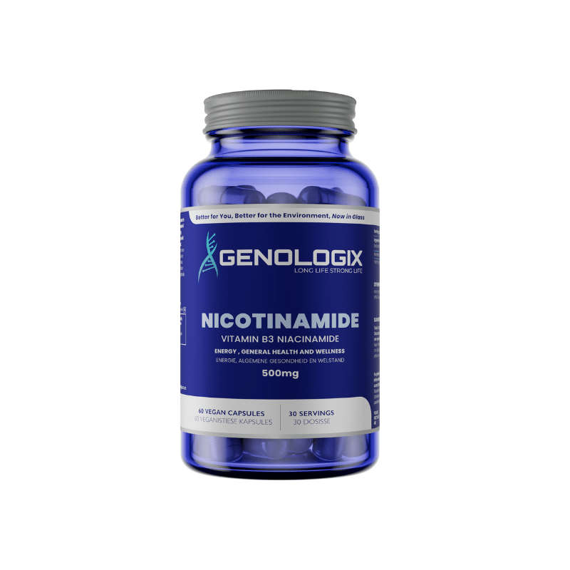 Genologix Nicotinamide (Vitamin B3) 500mg 60