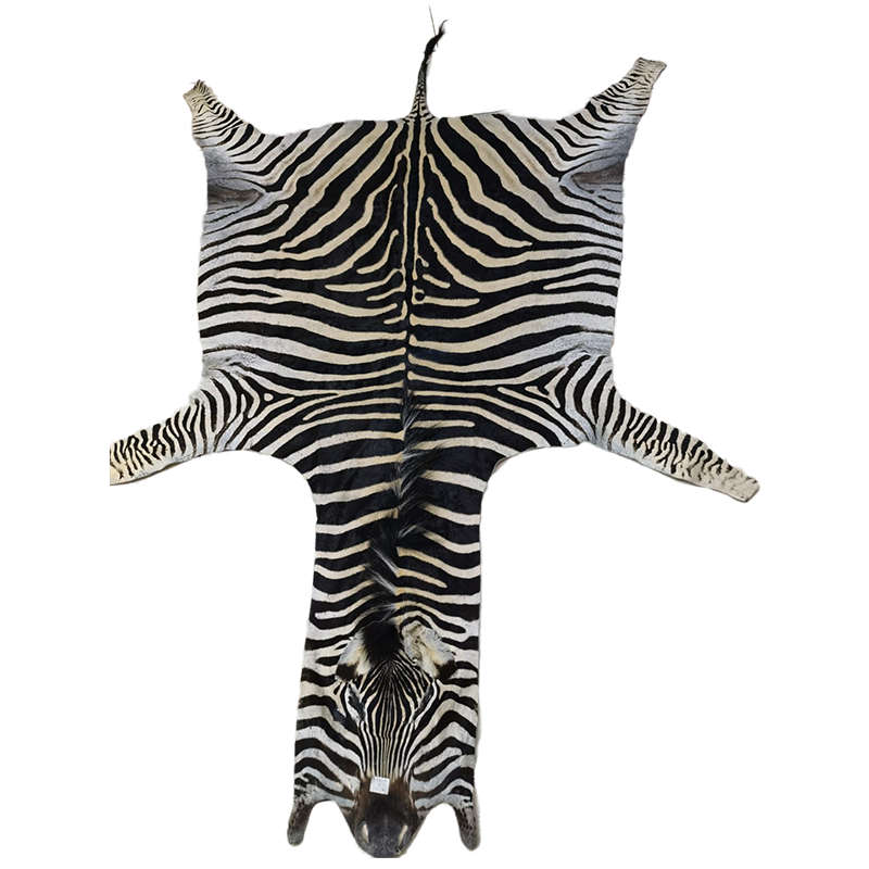 Authentic Zebra Hide Rug  Ethically Sourced, Premium Safari Décor