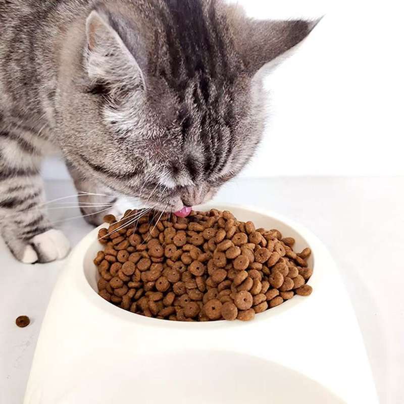 Max Pet Tuna cat food (10KG)