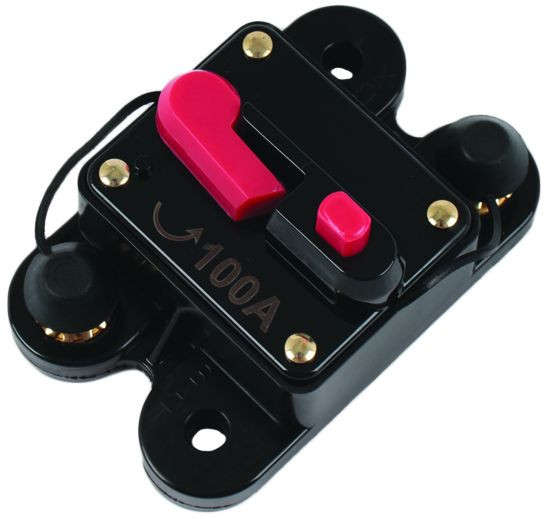 Fuse Breaker - 100 Amp