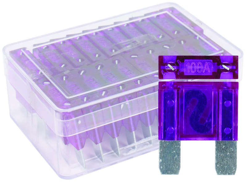 Maxi Fuse Set - 100 Amp - 20 Pieces