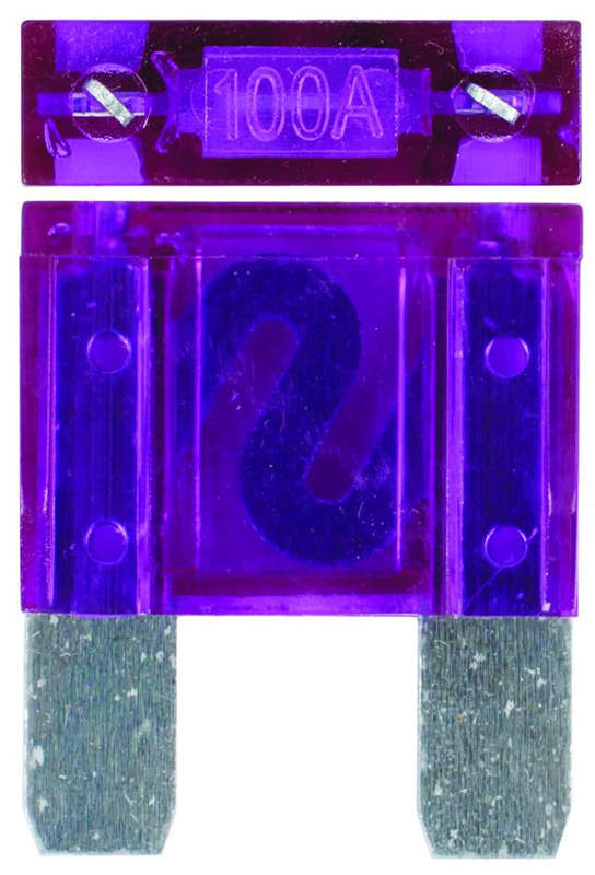 Maxi Fuse Set - 100 Amp - 20 Pieces