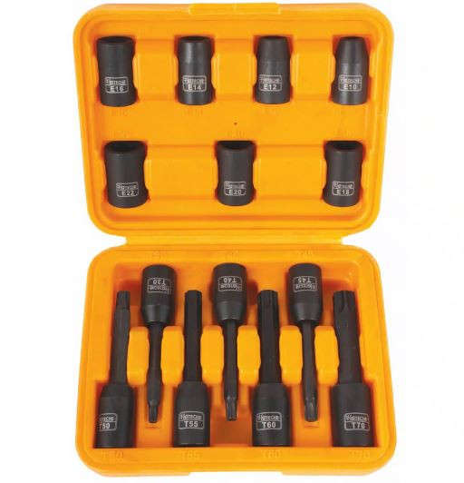 E Socket and Torx Bit Socket Set 1/2 Inch Drive - 14 Pieces - Hoteche