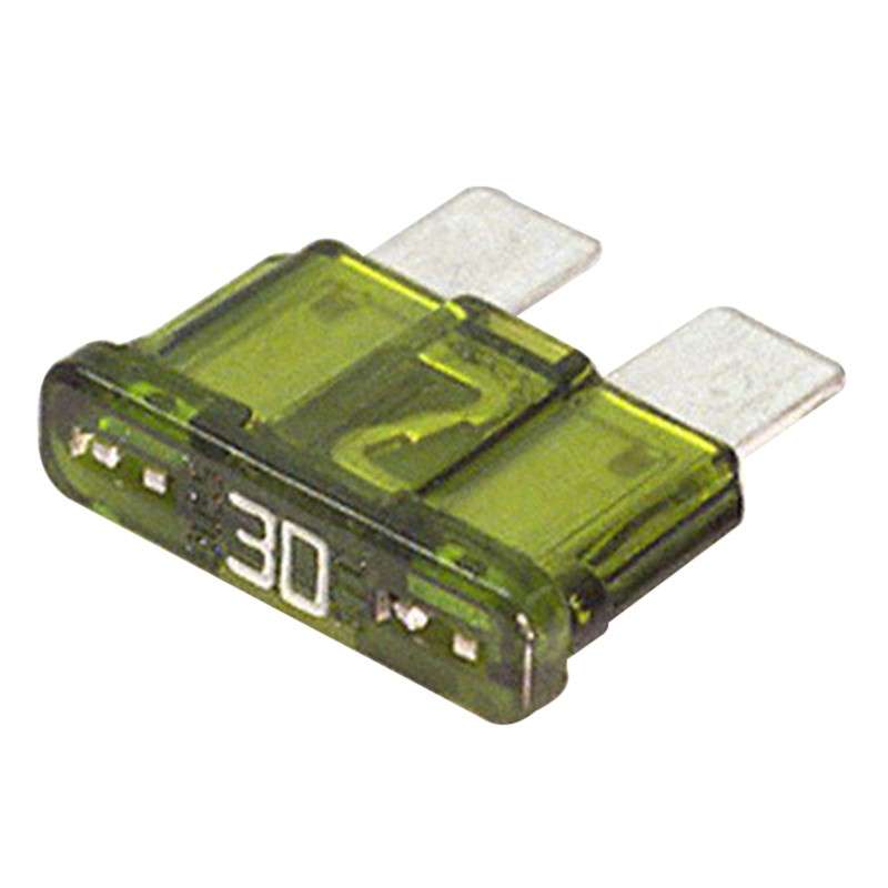 2 Pin Blade Fuse - 30 Amp - 100 Pieces