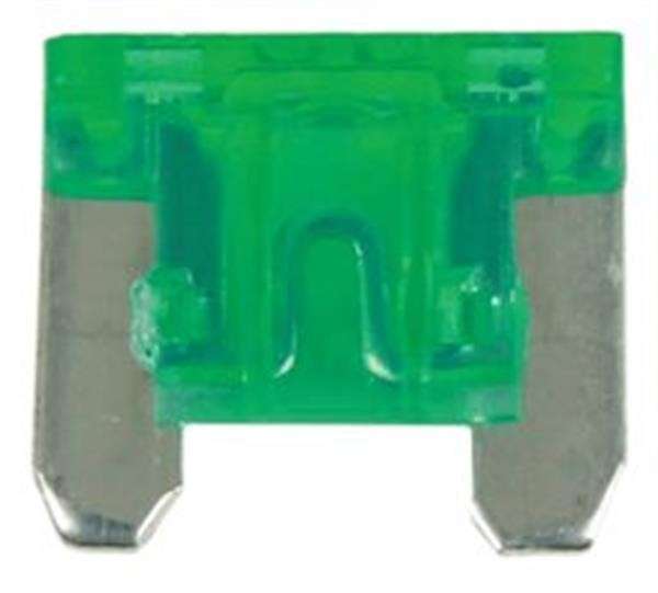2 Pin Blade Fuse - 30 Amp - 100 Pieces