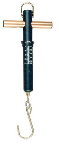 Fish Scale - 25kg