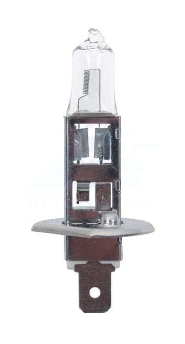 12 Volt 55W Halogen Bulb HDIAO