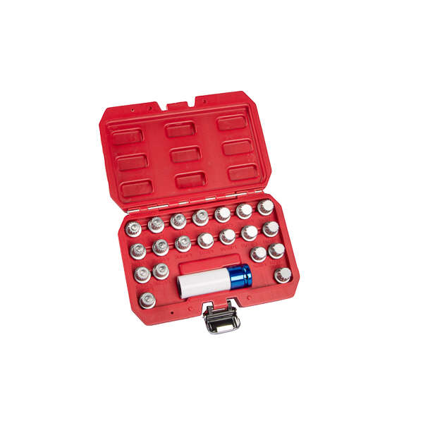 21pcs BMW Wheel Lock Screw Socket Set