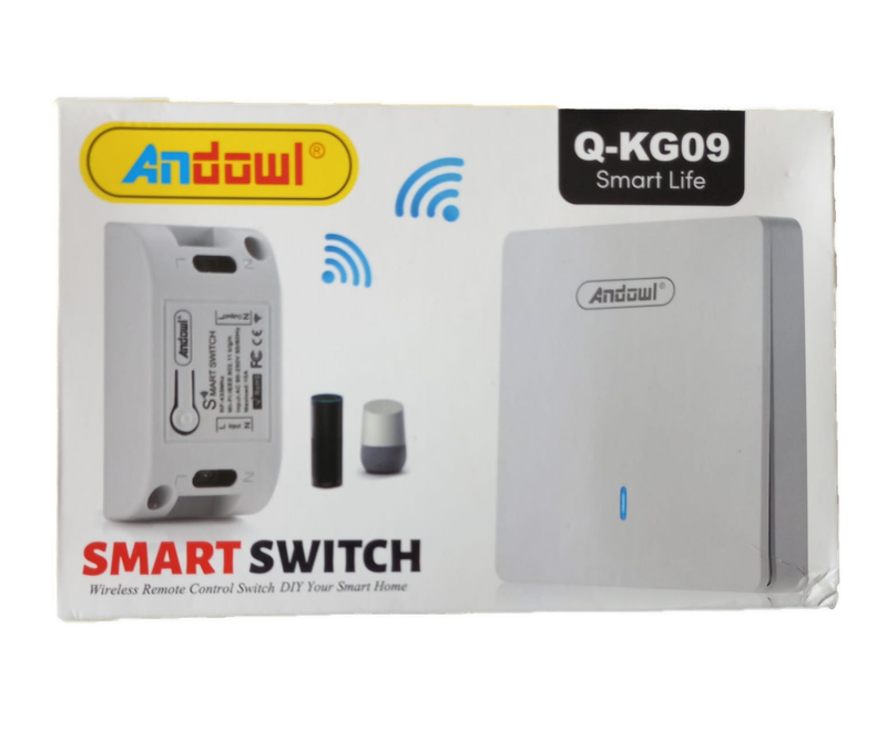 CLQ650 SP - Andowl  Smart Switch. Wireless Remote Control Switch. AC 90-220 10Amps 433mHZ