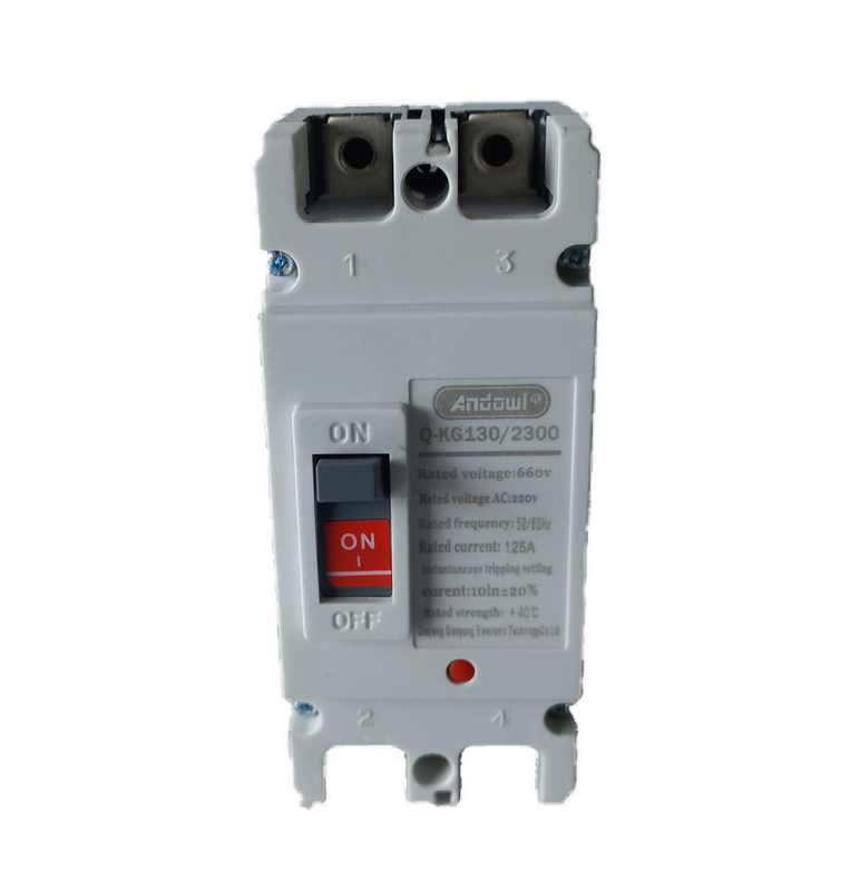 SJ035 Protection -  AC Heavy Duty Circuit Breaker Moulded Surface Mount 125 Amp Double Pole