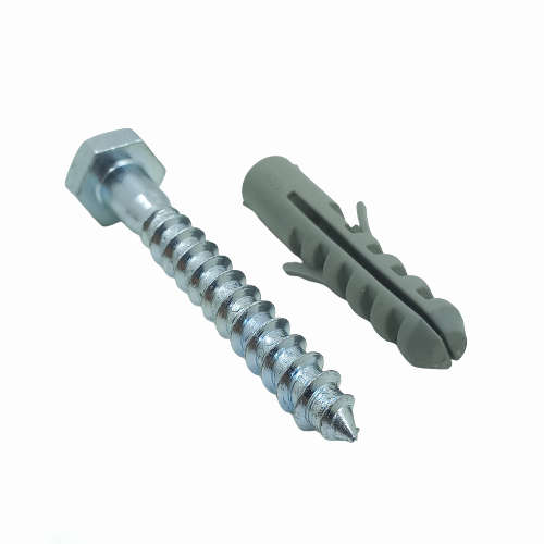 SN026 - Coach Screw + Wall Plug 10x75mm