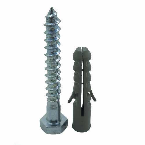 SN026 - Coach Screw + Wall Plug 10x75mm