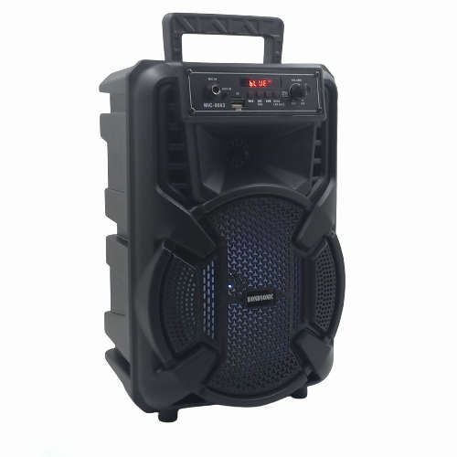 LN031 AV - Finnteck  FM Portable Radio System.Powered Speakers