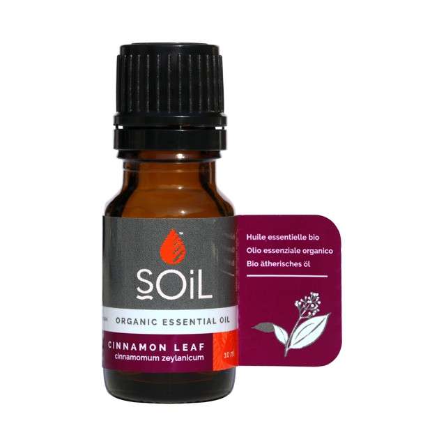 Spiced Forest Essential Oils Bundle