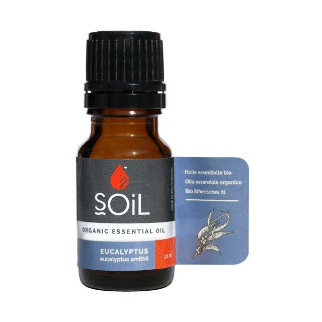 Fresh Air Essential Oils Bundle