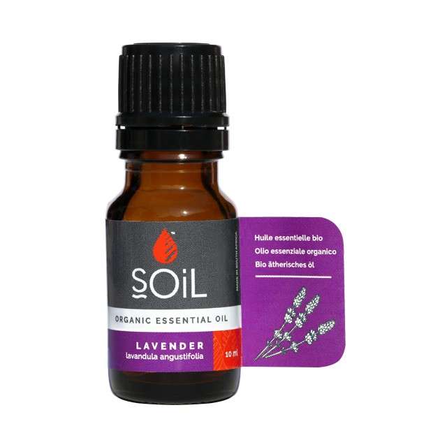 Peaceful Slumber Sleep Essential Oils Bundle