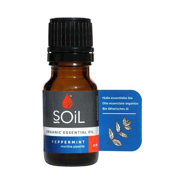 Fresh Air Essential Oils Bundle