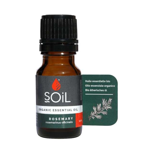 Spiced Forest Essential Oils Bundle