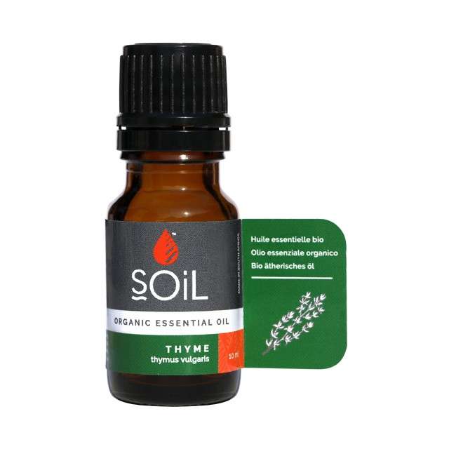Spiced Forest Essential Oils Bundle