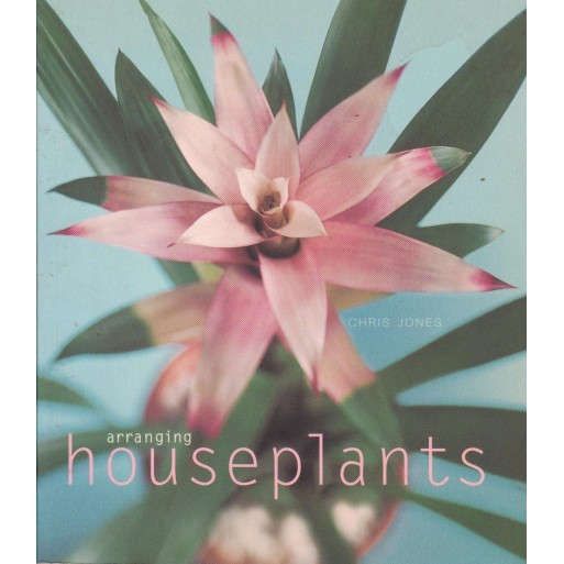 Arranging Houseplants