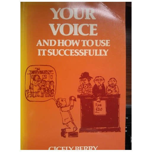 Your Voice and how to use it successfully