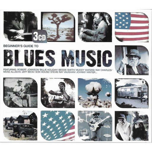 Beginner's Guide to Blues Music