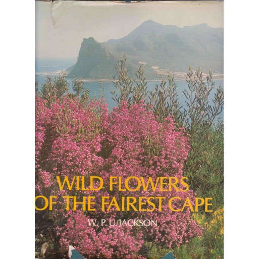 Wild Flowers of the Fairest Cape