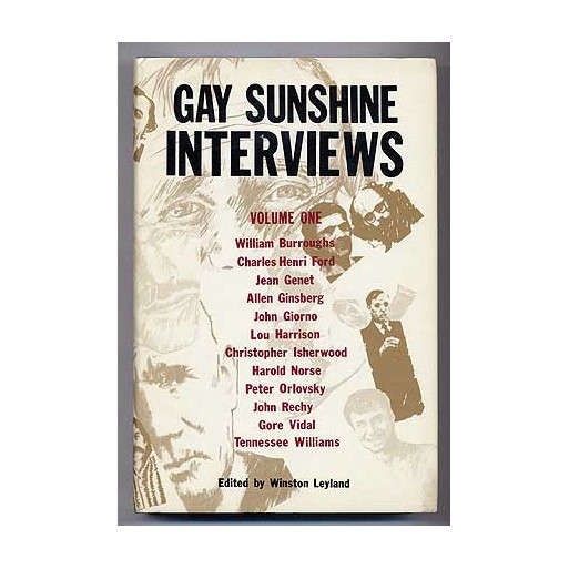 Gay Sunshine Interviews Vol. I
