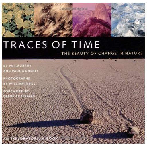 Traces of Time: The Beauty of Change in Nature