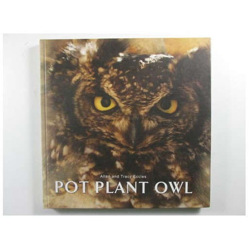 Pot Plant Owl