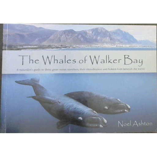 The Whales of Walker Bay
