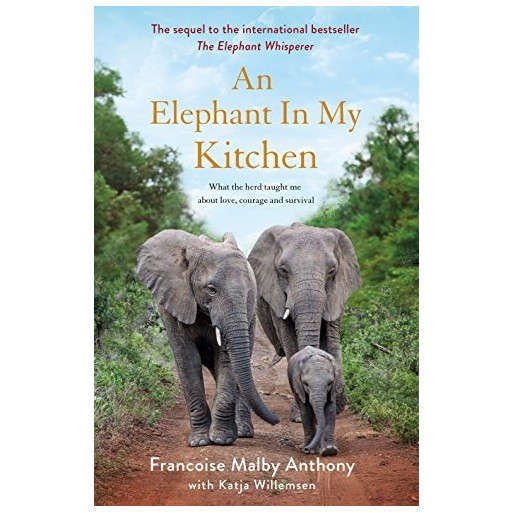 An Elephant in my Kitchen