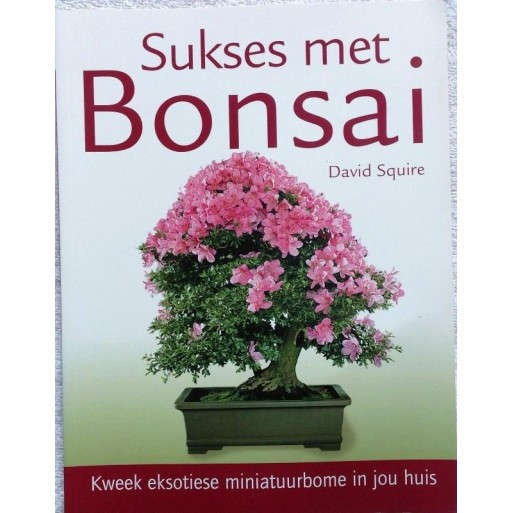Sukses met Bonsai