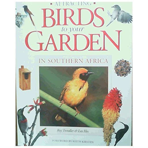 Attracting Birds to your Garden in South Africa