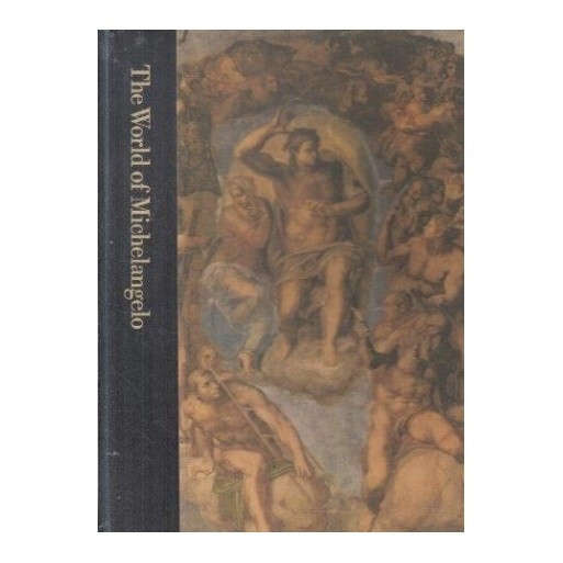 The World of Michelangelo