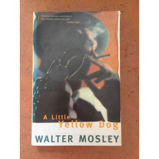 A Little Yellow Dog